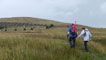 A view ahead towards Foel Cwmcerwyn the highest point of the Preseli hills. 