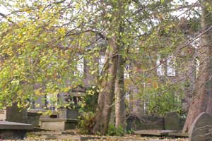 The parsonage at Haworth