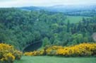 Photograph showing the rolling hills of Scotlands borders