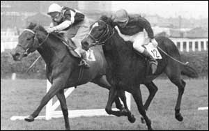 Red Rum and Curlicue