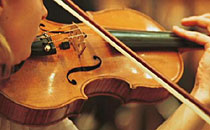 Violin
