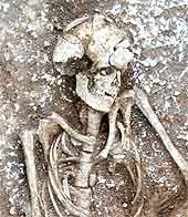 Skull and rib cage of the second occupant of the grave