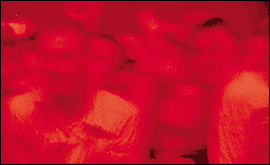 Guide to Nottingham Clubland