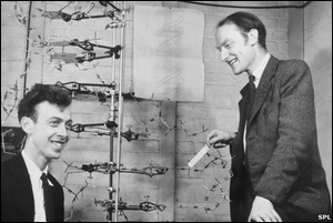 Crick and Watson