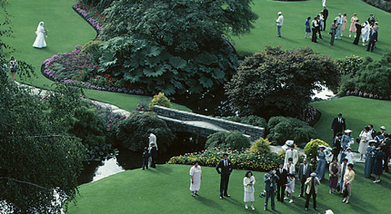 A big wedding reception