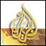 الجزيره