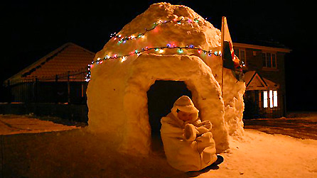 Igloo