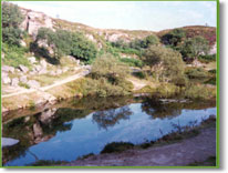 The old flooded Quarry at Haytor