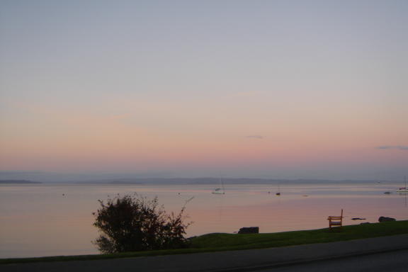 Bay