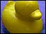 Rubber duck