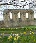 Glastonbury Abbey (David Burke)