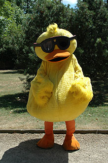 Great London Duck Race - Battersea, River Thames