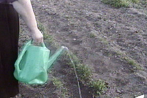 Eve isn't running low