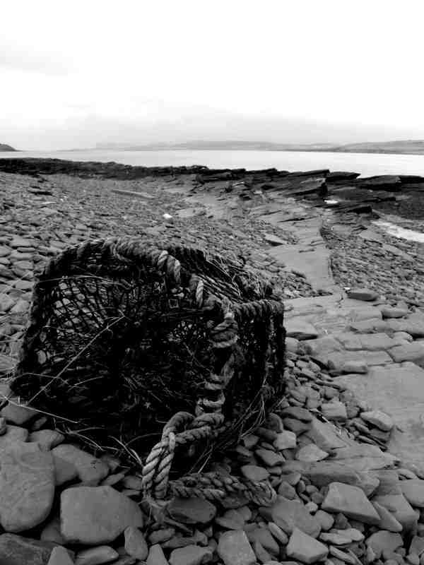 Creel on the beach