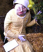 Lacock Scarecrow Festival 2007