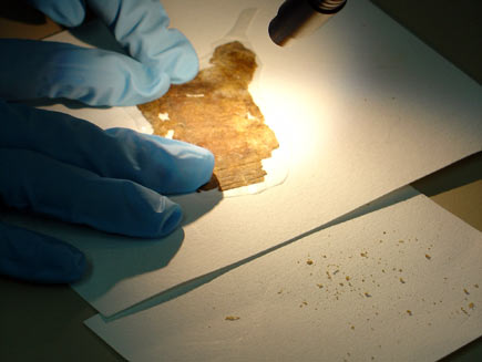 A pair of hands in blue rubber gloves holds a scroll fragment gently down on a sheet of white paper as a flexible bench spotlight illuminates it. Dust and tiny particles of paper from the fragment are collected on a piece of paper beneath