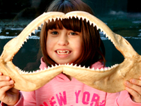 A girl holds up a Shark's jaw