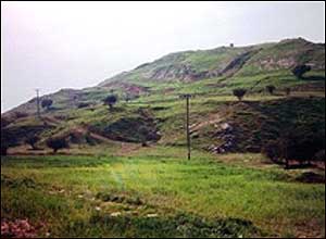 مسجد