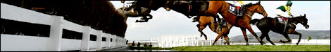 Racing at Cheltenham (courtesy of Getty images)