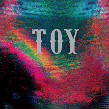 Review of TOY Review of TOY