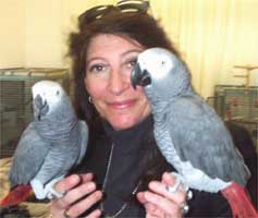 Dr Irene Pepperberg with African Grey parrots