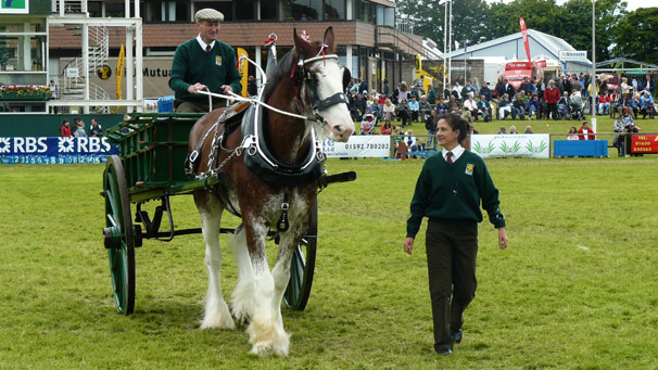 Glasgow city council clydesdale with Lorraine Johnston
