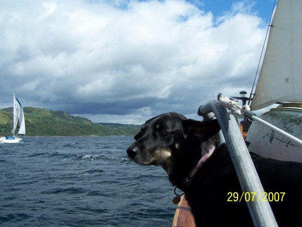 Looking for land!