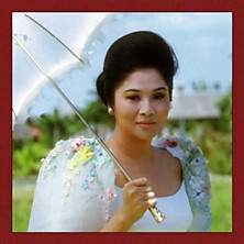 Review of Here Lies Love Review of Here Lies Love