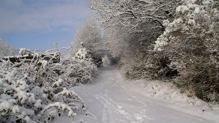 Snow covered lanes in Evanstown by Keith Jones