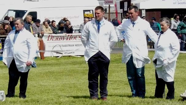 Owners and handlers look on in suspense as the Clydesdale Yeld Mare or Filly born in 2005 class is judged in the main ring