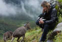 An arabian leopard in Oman. (c) Tessa McGregor