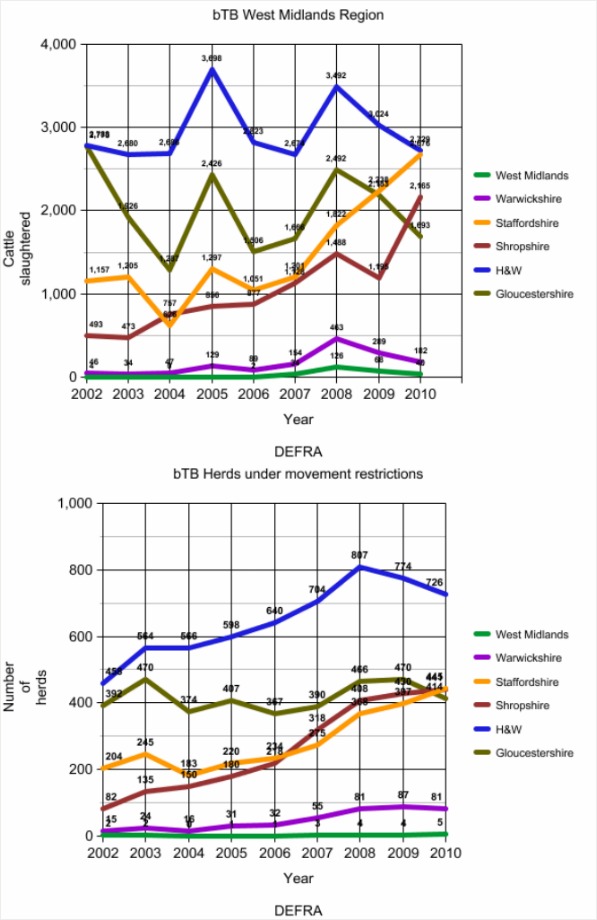 bTB graphs