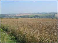 View of Lambourn across fields