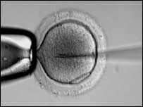 अंडाणु में शुक्राणु का प्रवेश