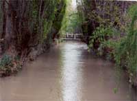 Y ffos Fawr yn Nyffryn Camwy - profiad cyntaf y Cymry o greu cyfundrefn ddyfrio