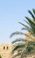 Syrian sunshine, date palms and a light stone wall