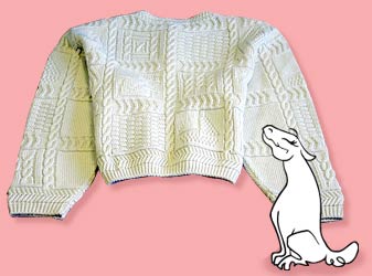 sheep and jumper