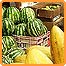 بازار رشت