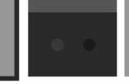 Black spots - Brightness high.jpg