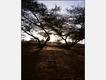 "Where Children Sleep", a project by Fabrica, photos by James Mollison, published by Chris Boot