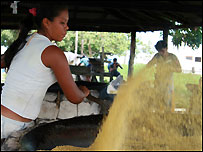 Cô gái chế biến khoai mỳ ở Amazon