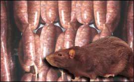 Rat and sausages