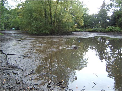 Thornton le Dale pond