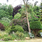 Green fingers - Shirley takes great pride in her garden