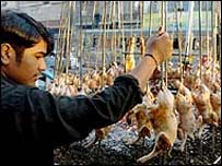 पाकिस्तान में बर्ड फ़्लू