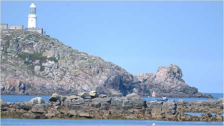 Scilly - seal territory c/o Isle of Scilly Tourism