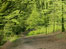 Hembury Fort