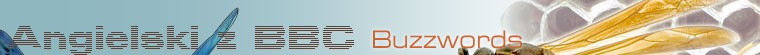 Buzzwords