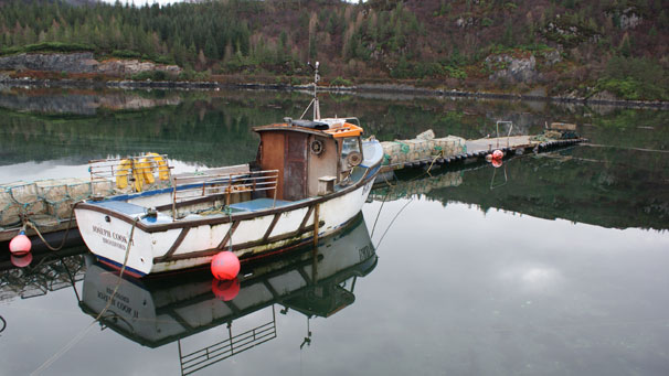 A calm February day at Plockton Harbour, courtesy of Ian Meikle.