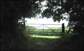Gate